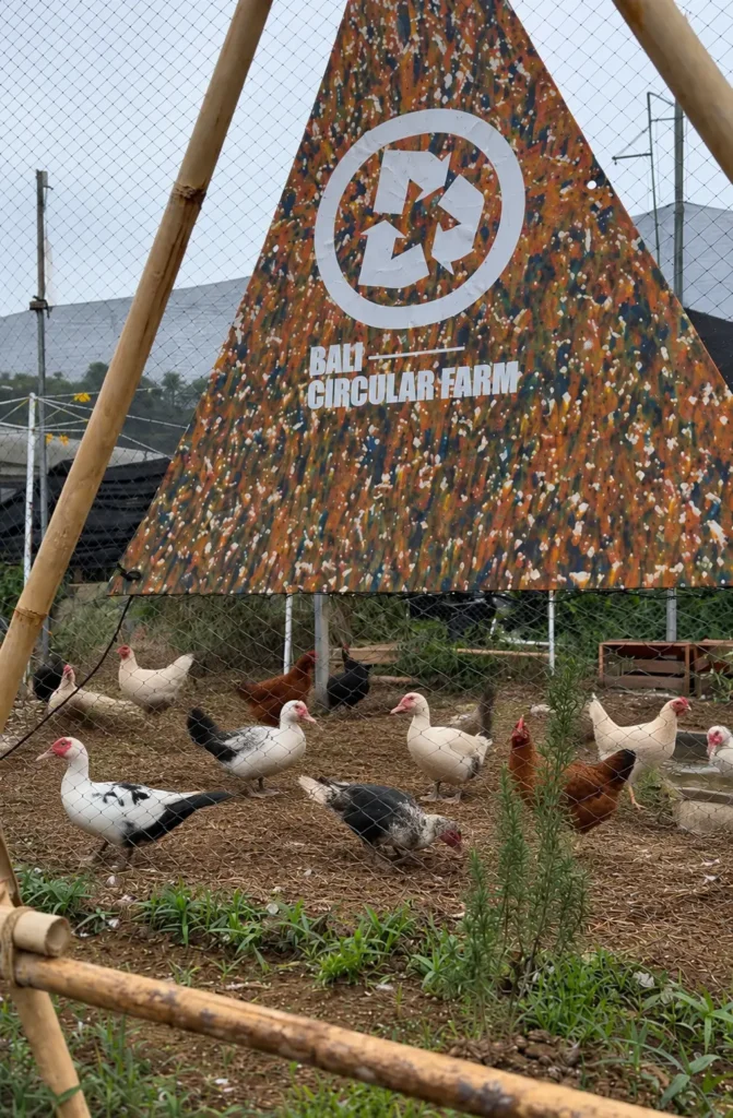 Bali Circular Farm Poultry Enclosure