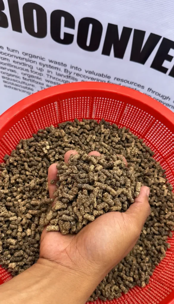 Organic Pellets in Hand Over Red Basket-1