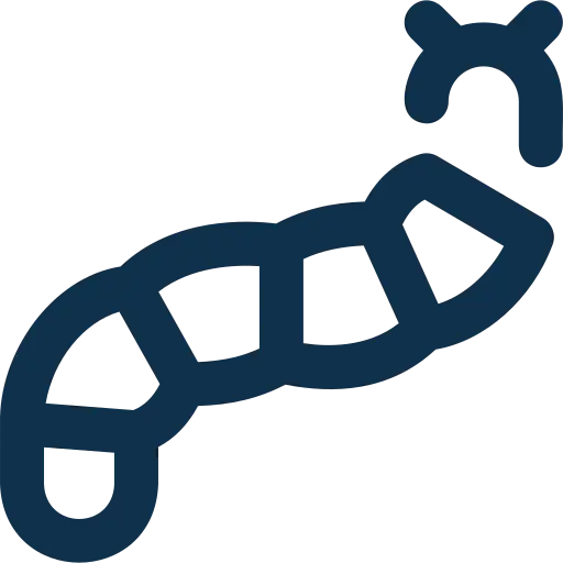 caterpillar