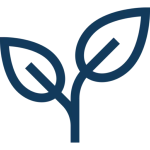 icon leaf