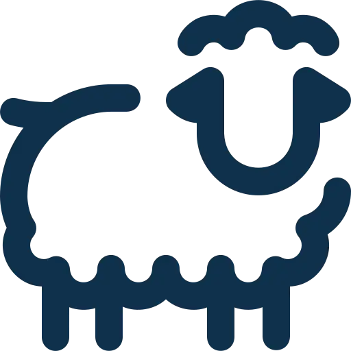 sheep